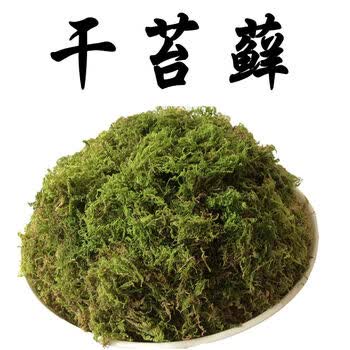 雪沫干水苔干苔藓青苔水草石斛兰花育苗种植苗木嫁接宠物龟冬眠垫材农资1kg精选优质苔藓 图片价格品牌报价 京东