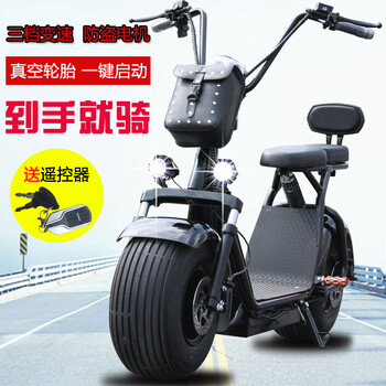 两轮电动车十大品牌排行榜