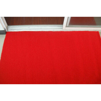 pvc防滑垫塑料地毯进门脚垫玄关地毯门厅防滑地垫子加厚拉丝地毯 红色