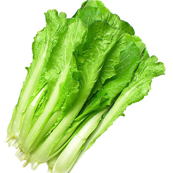 爱农 北京昌平蔬菜基地 小白菜500g