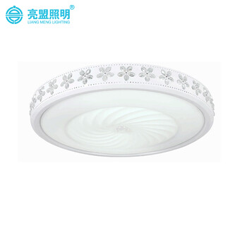 亮盟照明 吸顶灯LED卧室吸顶灯客厅灯简约现代简约圆形灯具遥控灯饰8612 无极调光24瓦 42cm带遥控