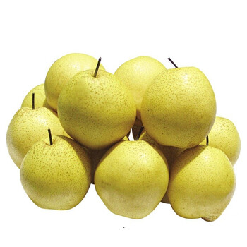 大菜园 雪梨 5斤 梨子 赵县正宗河北 赵州雪花梨 煮冰糖 酥梨 新鲜