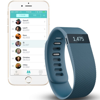 
                                        Fitbit Charge 智能手环  自动睡眠记录 来电显示 运动蓝牙手表计步器 蓝灰色 L                