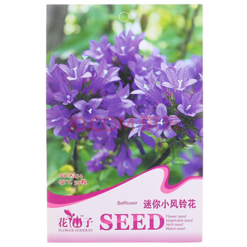 花仙子迷你小风铃花紫色 花仙子迷你小风铃花紫色花卉种子家庭阳台 园艺休闲50粒 袋 行情报价价格评测 京东 花仙子迷你小风铃花紫色 花仙子迷你小风铃花紫色花卉种子家庭阳台 园艺休闲50粒 袋 行情报价价格评测 京东