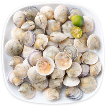 【活鲜】味库精选 青蛤 鲜活 500g/份 盒装 烧烤食材 海鲜水产