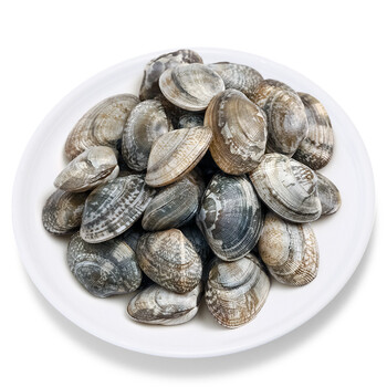 京鲜生 新鲜冷冻无沙花蛤蜊 500g袋装有冰 2斤起售海鲜水产【图片 价