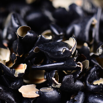 黑豆衣 黑豆皮 乌豆衣 穭豆衣 黑豆衣250g