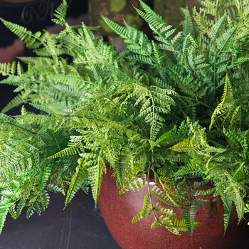 大羽蕨 仿真蕨叶 蕨类植物 绿植仿真花花艺插花装饰清新 中和绿