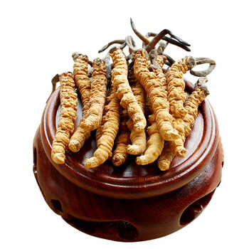 贯康野生虫草王 西藏那曲 冬虫夏草3条/克