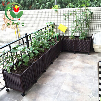沃绣二豆园艺特大阳台种菜盆家庭菜园加深种植箱长方形花盆屋顶花槽花架特大蔬菜种植箱加深二联长78 宽39 高37 大 图片价格品牌报价 京东