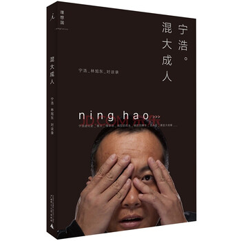 混大成人:宁浩、林旭东对谈录