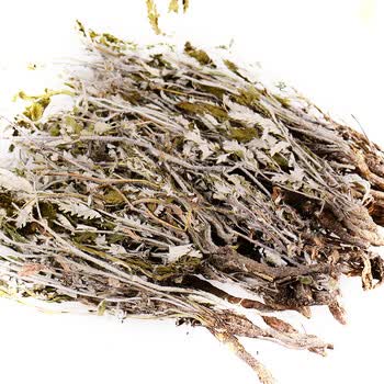 翻白草 翻白委陵菜 番白草全草 翻白草1000g_ 7折现价42元