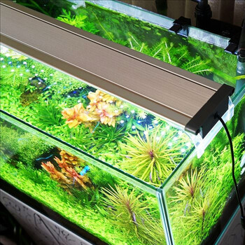 Teedel鱼缸灯led灯水草灯水族箱草缸照明灯架通用血鹦鹉龙鱼灯超白水族灯300蓝白光适合30cm缸 图片价格品牌报价 京东