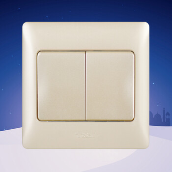 tj天基开关插座 雅致系列面板 二位双联 二开双控大板 香槟色开关