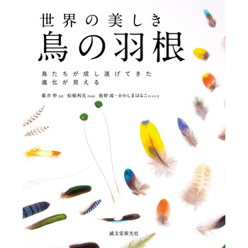 世界美丽鸟的羽毛图鉴日文原版动物科学百科全书世界の美しき鳥の羽根藤井幹 摘要书评试读 京东图书 世界美丽鸟的羽毛图鉴日文原版动物科学百科全书世界の美しき鳥の羽根藤井幹 摘要书评试读 京东图书