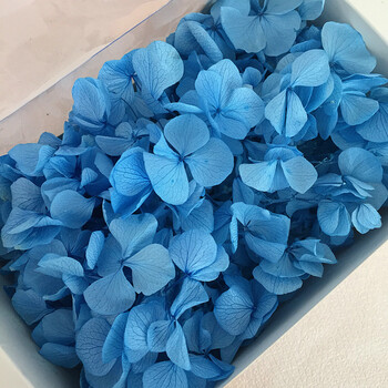 永生花花材diy优质a级大叶绣球20克盒装新娘头饰 蓝色