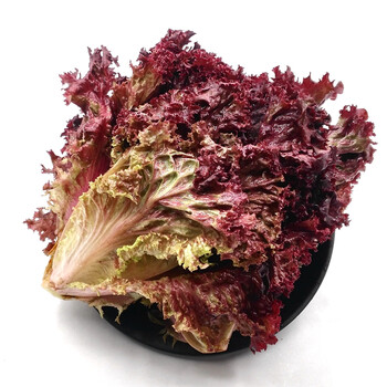 绿地 红叶生菜 罗莎红 西餐 沙拉菜 新鲜蔬菜 日天 生鲜 500g_ 8折