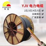 丰旭 电线电缆 yjv-0.6/1kv-2*4平方2芯 国标电力电缆 yjv 2*4 1米（50米起售）