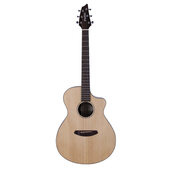 Breedlove 贝朗PASSPORT DREADNOUGHT