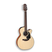 Eastman 伊斯特曼AC101-GA