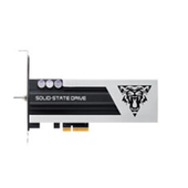 金泰克 G5 系列 PCIe 固态硬盘 256G