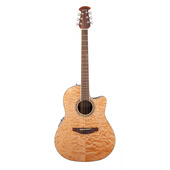 Ovation 奥威逊CS24-1