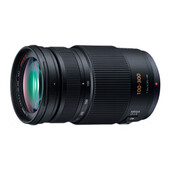 松下LUMIX G VARIO 100-300mm f/4-5.6 MEGA O.I.S.