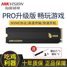 HIKVISION海康威视C2000系列M.2NVMe固态硬盘2TB