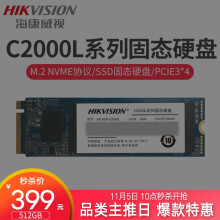 10点开始：HIKVISION海康威视C2000PROM.2NVME固态硬盘512GB