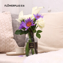 FLOWERPLUS 花加 悦花 订阅鲜花 单次体验 （送花瓶）