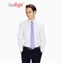 InteRight男士正装商务领带