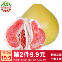 甄新鲜 红心蜜柚  2个装 约3.5-4斤 *2件