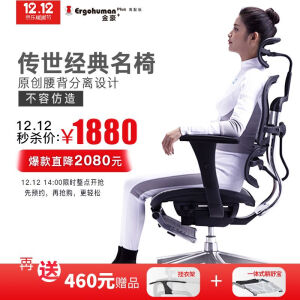 Ergonor 保友办公家具 人体工学电脑椅 金豪智尚版