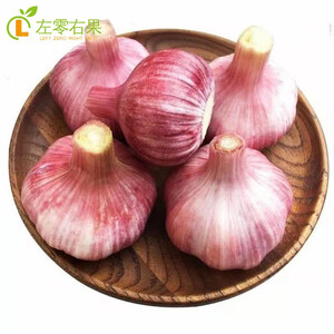 紫皮大蒜 干大蒜头蒜种籽当季新鲜蔬菜白皮批发