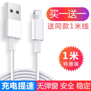 【买一送一，共发两条】FNO 苹果USB数据线1米