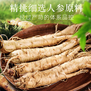 北京同仁堂人参 整棵精选人参 无熏蒸 长白山人参 多支人参礼盒50g 滋补好礼 泡酒食材