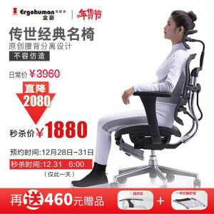Ergonor 保友办公家具 人体工学电脑椅 金豪智尚版+固定躺舒宝