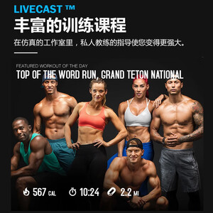 爱康（ICON）椭圆机 家用椭圆仪 太空漫步机二合一 静音运动健身器材 新品NTEVEL15518 送货入户包安装-咨询更多优惠