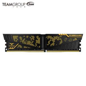 10点开始：Team十铨火神迷彩DDR43000台式机内存条8G