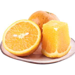 誉福园 秭归脐橙 2.5斤 *4件