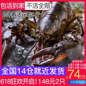 wecook味库鲜活波士顿龙虾500-400g*2只