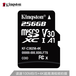 Kingston金士顿高速PLUS版TF(microSD)存储卡256GB