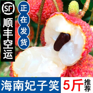 【现货】新鲜海南妃子笑荔枝当季孕妇水果顺丰空运5斤广东茂名黑叶荔枝现摘精选大果