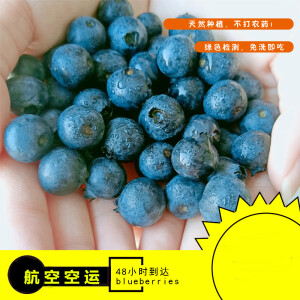 龙凤行精选新鲜蓝莓125g*4盒