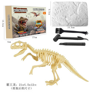 满意星园恐龙化石霸王龙骨架模型石膏玩具培养动手能力培养耐心还原考古 霸王龙（彩盒包装带工具）