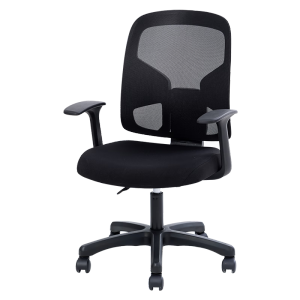 得力（deli）4900S 人体工学靠背办公椅/电脑椅/职员椅 家用网布可升降转椅 黑