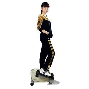 雷克 踏步机 家用室内多功能静音免安装小型迷你登山脚踏机椭圆机扭腰提臀健身塑身减肥机运动健身器材 太空灰