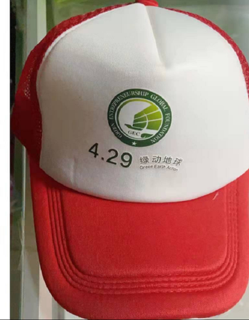 包开票隆京啸定制429绿动地球gec环保基金活动工作服志愿者马甲公益印