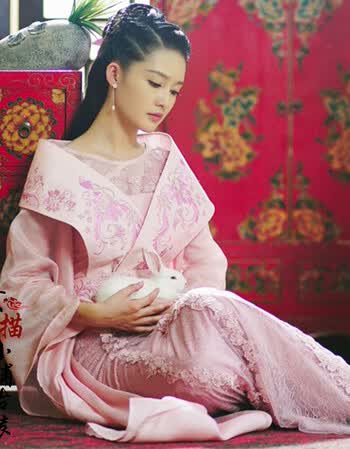 影视剧特工皇妃楚乔传李沁公主同款 cosplay古装演出服 粉色绣花 均码