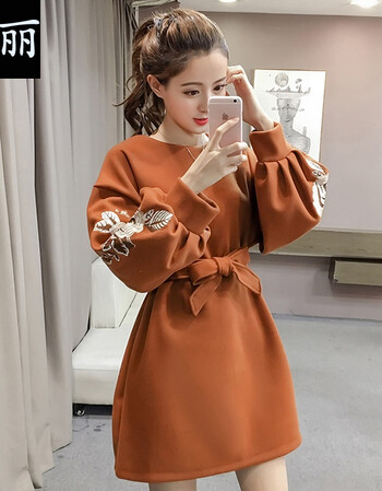 女装 连衣裙 纨丽 纨丽秋冬新款韩版气质百搭灯笼袖刺绣加厚连衣裙女